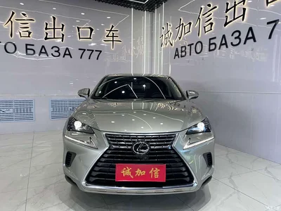 2020 Lexus NX 200 FWD Fengyi Edition China VI, фото 2, лот 10312126
