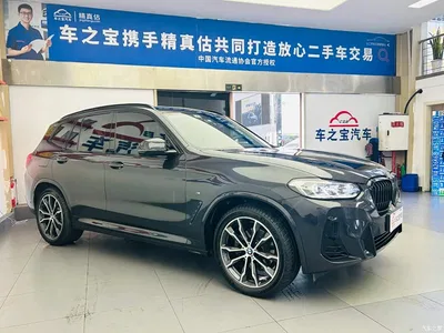 2022 BMW X3 xDrive30i Leading M Night Package, фото 3, лот 10461169