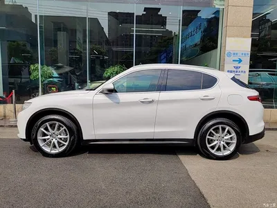 2017 Alfa Romeo Stelvio 2.0T 200HP Luxury Edition, фото 3, лот 10239834
