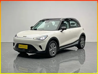 2022 smart Elf #1 Pro+ Edition, фото 1, лот 10342943