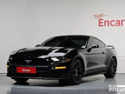 2022 Ford Mustang Coupe, фото 1, лот 10205195
