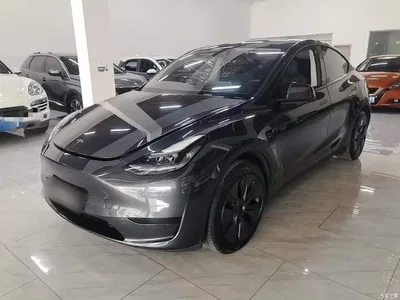 2024 Tesla Model Y Rear-Wheel Drive Version, фото 1, лот 10370499