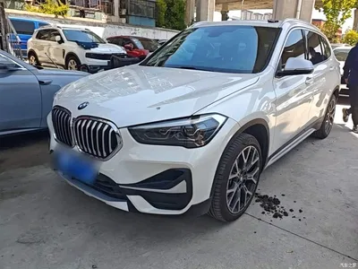 2021 BMW X1 xDrive25Li Exclusive, фото 1, лот 10467834