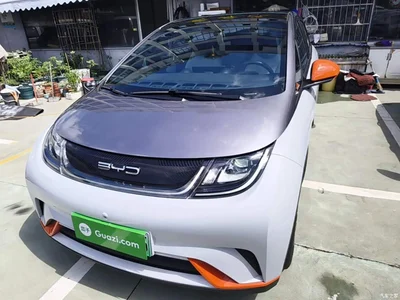 2021 BYD Dolphin Model 405km Fashion Edition, фото 3, лот 10259425