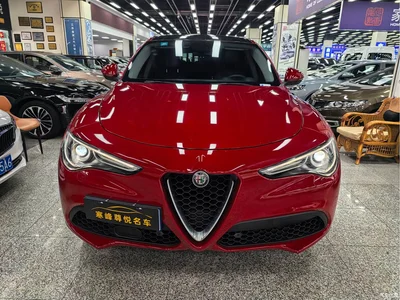2017 Alfa Romeo Stelvio 2.0T 200HP Elite, фото 3, лот 10240292
