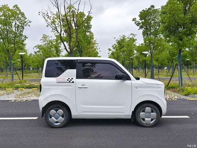 2024 Geely Galaxy Panda mini 200km Endurance Bear, фото 4, лот 10432247
