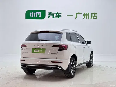 2023 Škoda Karoq TSI280 Luxury Edition, фото 2, лот 10349453