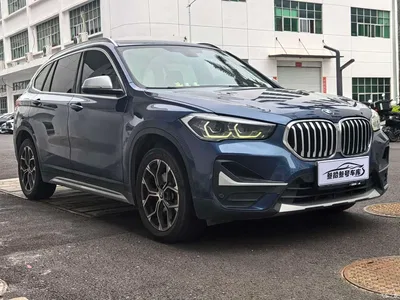 2020 BMW X1 sDrive20Li Premium Edition, фото 1, лот 10466763
