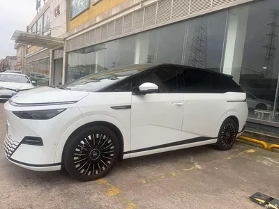 2025 XPeng X9 650 Long Range Max, фото 1, лот 10899710