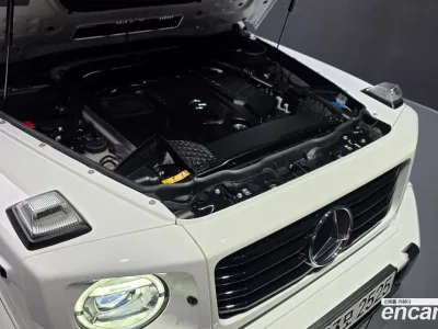 2025 Mercedes-Benz G-Class G450d, фото 4, лот 10053338