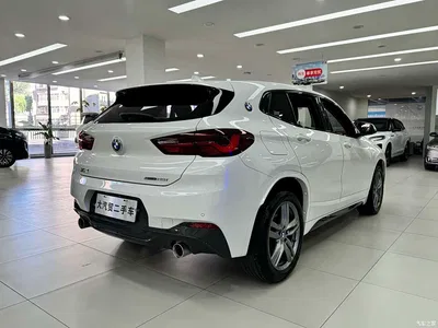 2022 BMW X2 sDrive25i M Sport Package, фото 4, лот 10418855