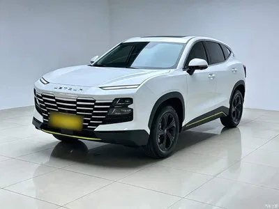 2024 Jetour Dasheng 1.5T DCT Youth PRO, фото 2, лот 10826868