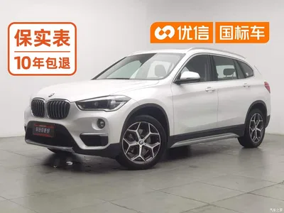 2019 BMW X1 sDrive18Li Premium Model, фото 1, лот 10684674