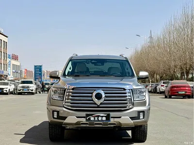 2023 Great Wall Shanhai Cannon 3.0T V6 Gasoline Extreme Edition, фото 1, лот 11162618