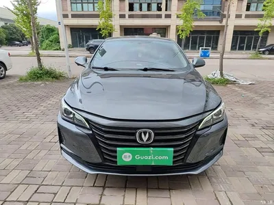 2021 Changan Ruicheng CC Blue Whale Edition 1.5T DCT Luxury, фото 3, лот 10899706