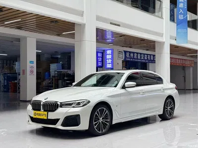 2022 BMW 5 Series Model Second Facelift 530Li Leading Luxury Package, фото 1, лот 11141203