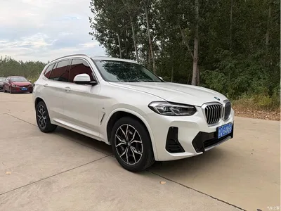 2022 BMW X3 xDrive25i M Sport Package, фото 3, лот 10797828