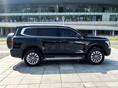 2024 Tank 500 EV Hi4-T Black Warrior Edition, фото 4, лот 10345128