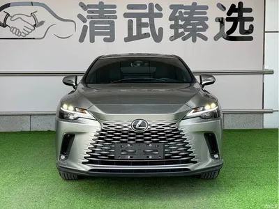 2025 Lexus RX 300 4WD Premium Edition, фото 2, лот 11188818