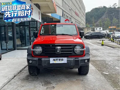 2021 Tank 300 Off-road Edition 2.0T Challenger, фото 1, лот 11255545