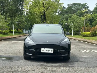 2022 Tesla Model Y Facelift Rear-Wheel Drive Version, фото 2, лот 11520758