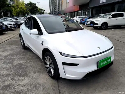 2025 Tesla Model Y Long Range All-Wheel Drive, фото 4, лот 10837523