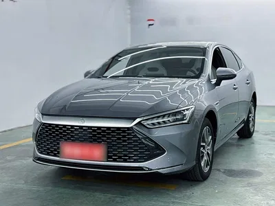 2023 BYD Qin PLUS Champion Edition DM-i 120KM Leading Type, фото 2, лот 10886392