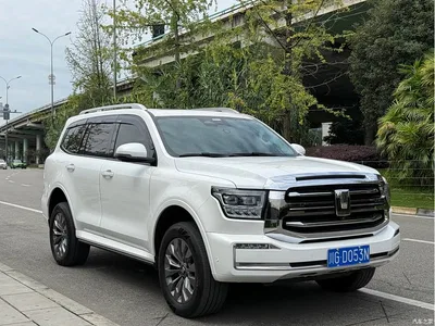 2022 Tank 500 3.0T Sport Edition Zaojing 7-Seater, фото 3, лот 11089627