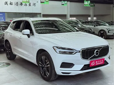 2019 Volvo XC60 T5 4WD Intelligent Distance China VI, фото 3, лот 10361818