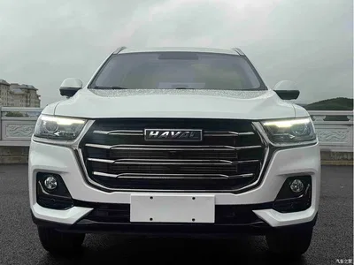 2021 Haval H6 Model National Trend Edition 1.5T Auto Champion, фото 2, лот 10300379