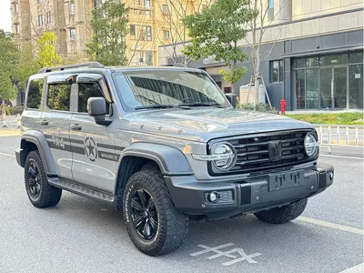 2021 Tank 300 Off-road Version 2.0T Conqueror, фото 3, лот 10344195