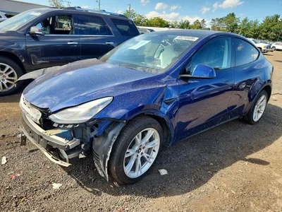 2020 TESLA MODEL Y, фото 1, лот 10854016
