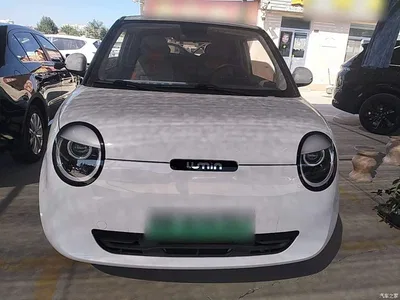 2025 Changan Qiyuan Changan Lumin 205km Fragrant Infusion Edition, фото 3, лот 11017804