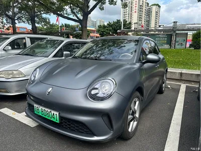 2025 Ora Good Cat Model 430km Luxury, фото 1, лот 11549948
