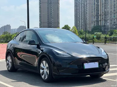 2022 Tesla Model Y Rear-Wheel Drive Version, фото 3, лот 11211270