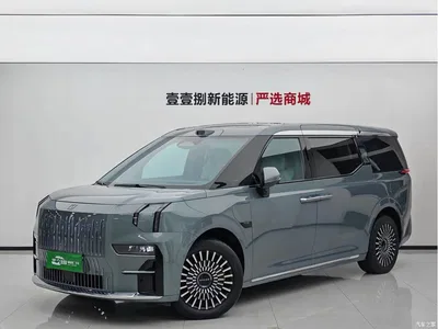2024 ZEEKR 009 6-seat Executive AWD 108kWh, фото 1, лот 10305697