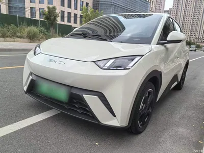 2023 BYD Seagull Flying Edition, фото 1, лот 10262941