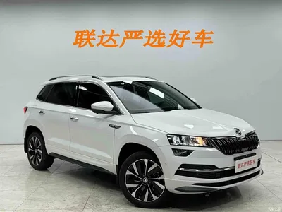2025 Škoda Karoq TSI280 Luxury Edition, фото 4, лот 10348861