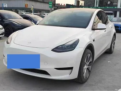2022 Tesla Model Y Rear-Wheel Drive Version, фото 1, лот 11140376
