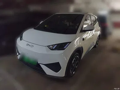 2025 BYD Seagull Smart Drive Edition 305km Freedom Version, фото 1, лот 10252771
