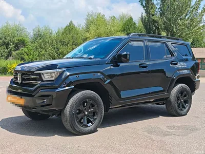 2024 Tank 400 New Energy Hi4-T Off-Road Edition, фото 1, лот 10345016