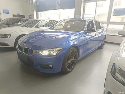 2018 BMW 3 Series 320Li Leading M Sport Package, фото 1, лот 10458244