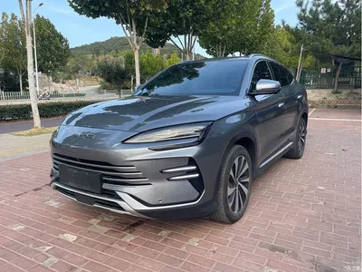 2023 BYD Song PLUS PHEV Champion Edition DM-i 110KM Flagship, фото 1, лот 10807888