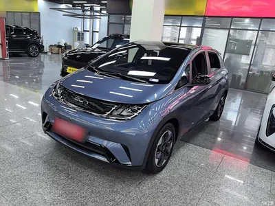 2024 BYD Dolphin Glory Edition 420km Fashion Edition, фото 1, лот 10259866