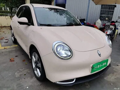 2023 Ora Good Cat 401km Standard Range Luxury LFP, фото 4, лот 11214477