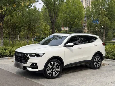 2023 Haval H6 National Trend Edition 1.5T Automatic Champion, фото 2, лот 10389507