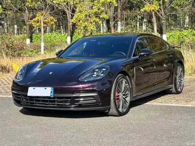 2017 Porsche Panamera 4 Executive Long Wheelbase 3.0T, фото 1, лот 10435762