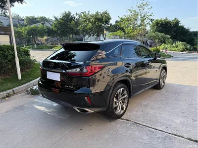 2016 Lexus RX 300 4WD Elegance Edition (China V), фото 4, лот 10317837