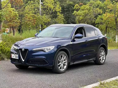 2017 Alfa Romeo Stelvio 2.0T 200HP Luxury Edition, фото 1, лот 11067421