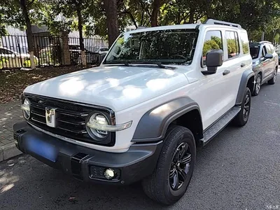 2024 Tank 300 Model 2.0T Challenger, фото 1, лот 11568685